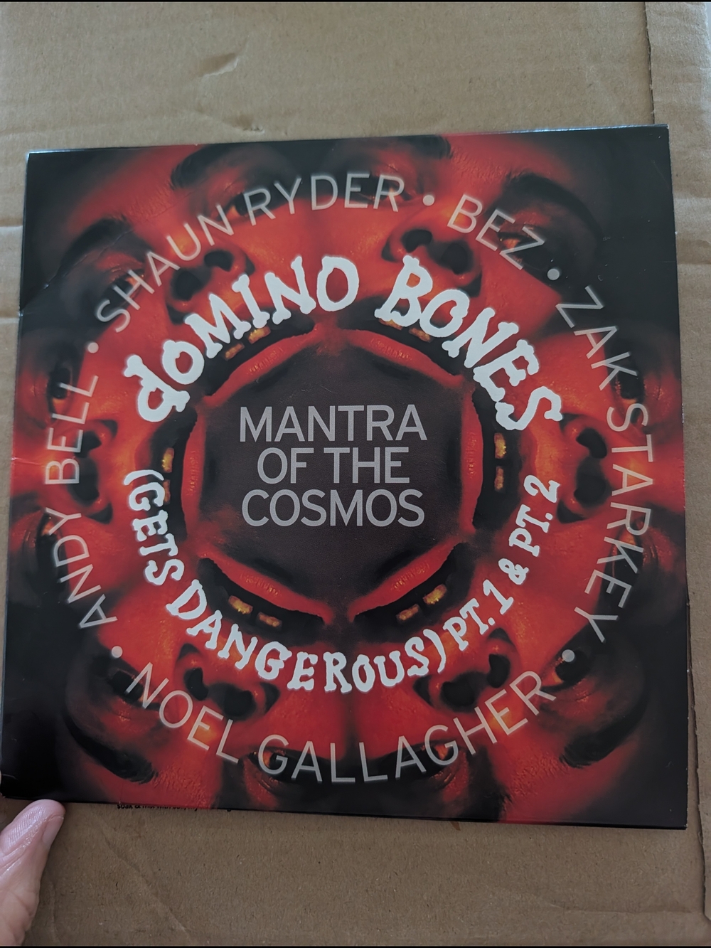 Domino Bones "Mantra of the Cosmos" Red/Black Single Cover